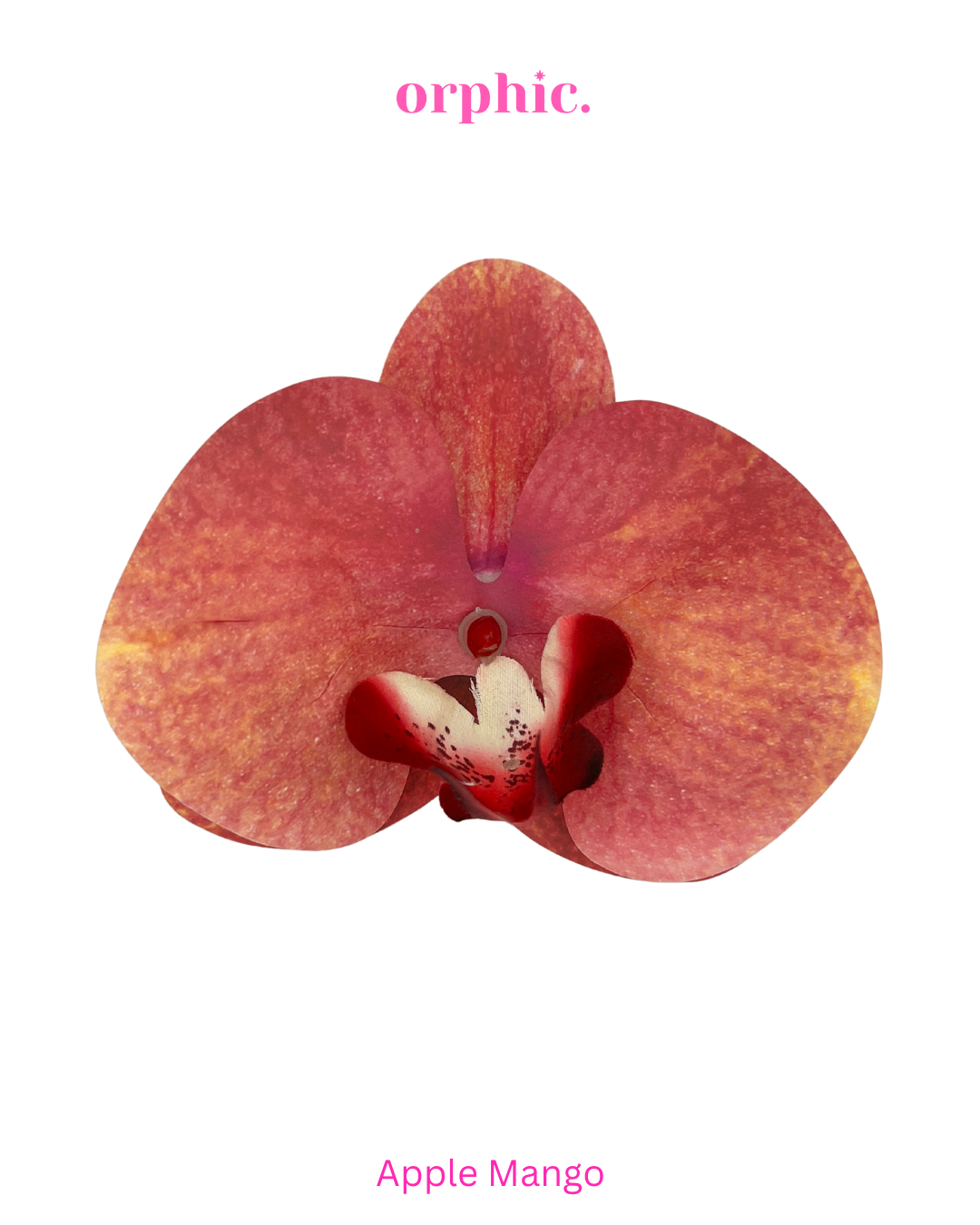 Orchid Hairclip