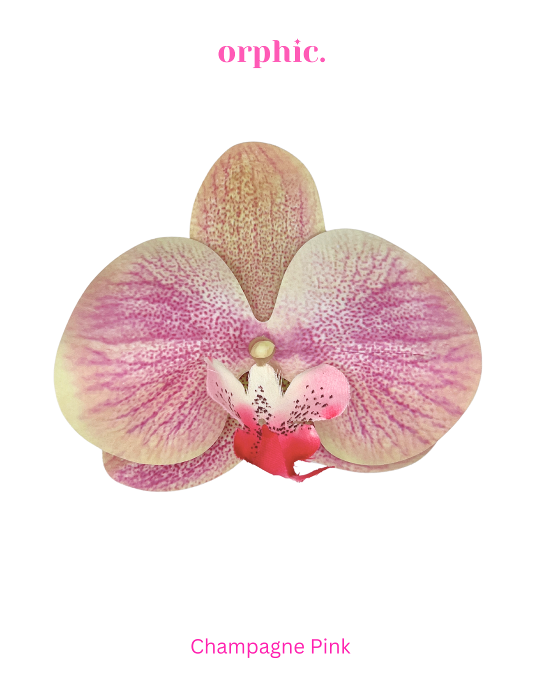 Orchid Hairclip