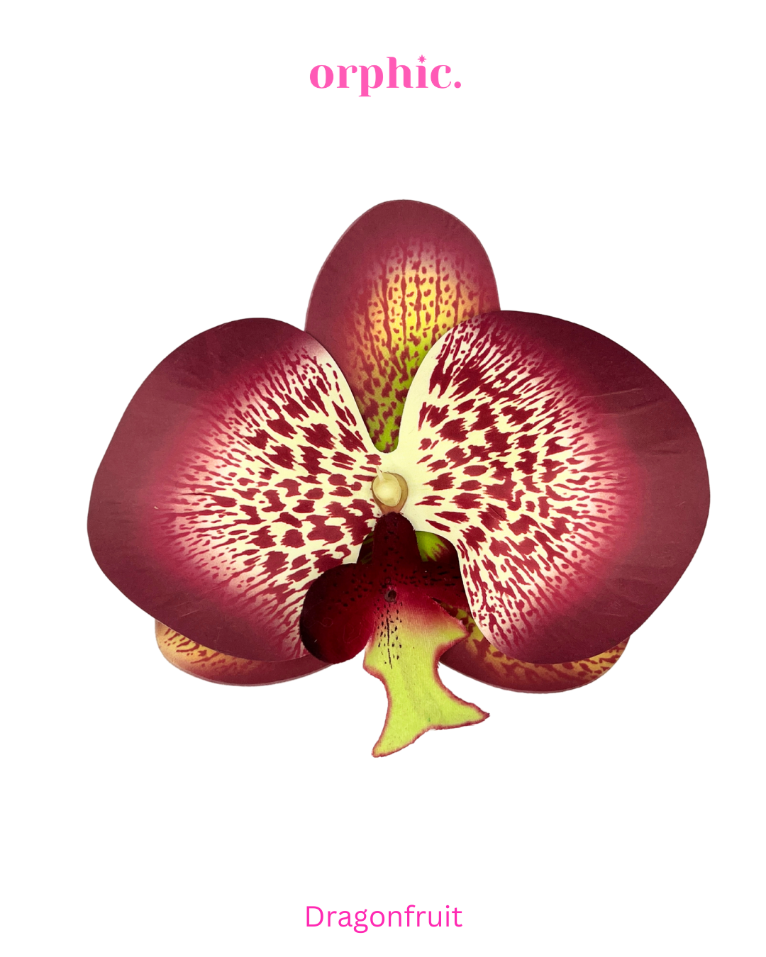 Orchid Hairclip