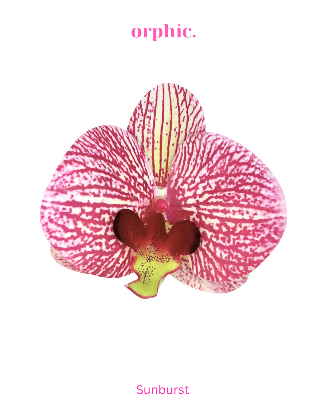 Orchid Hairclip