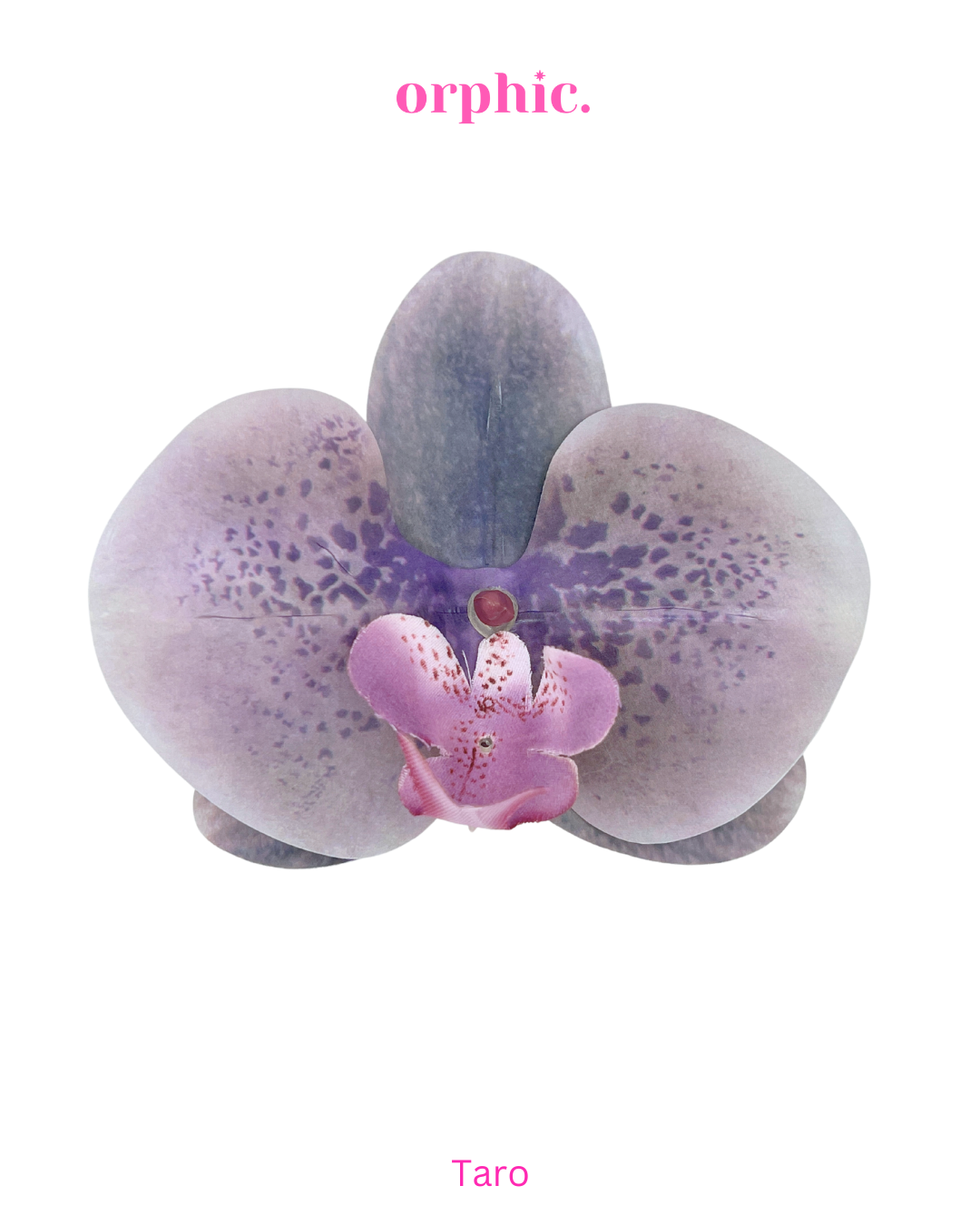 Orchid Hairclip
