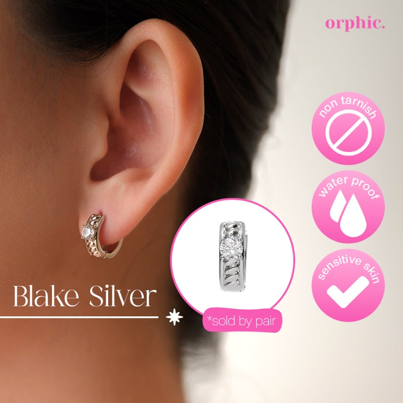 Hoop Earrings Silver #1