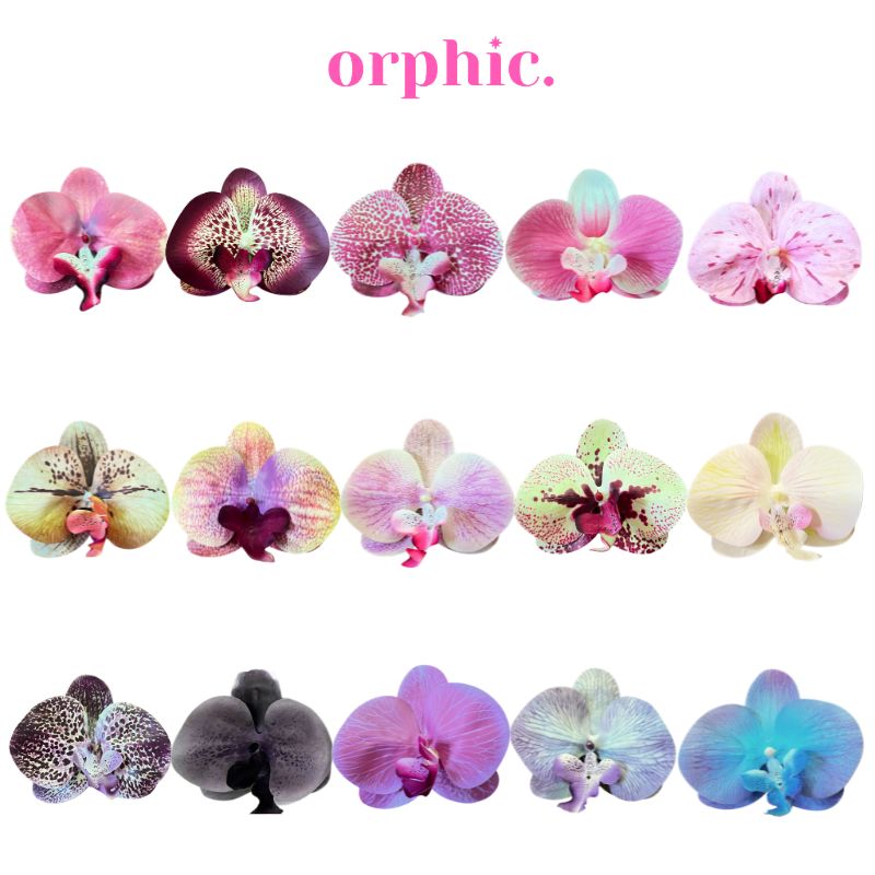 Orchid Hairclamp