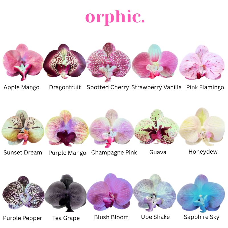 Orchid Hairclamp
