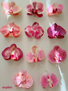 Orchid Hairclip