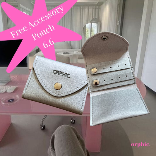 Silver Accessory Pouch Freebie